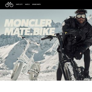 Mate X Electric Bicycle